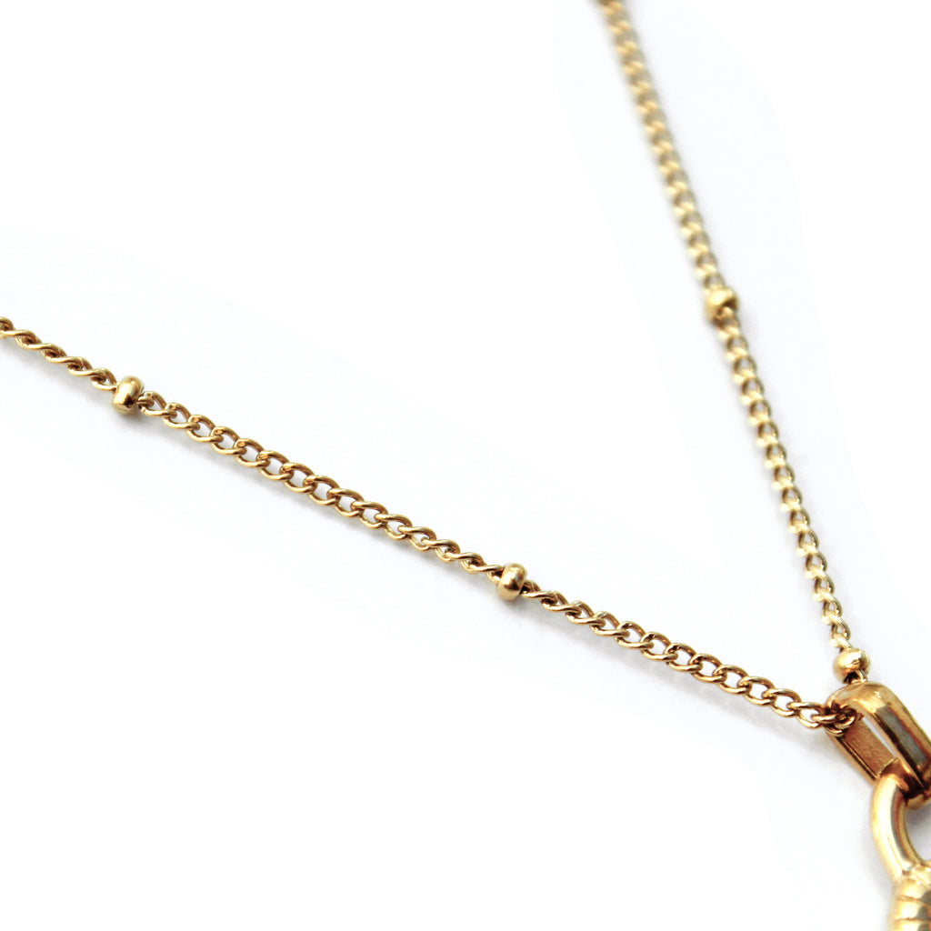 Dual Charm Heart Convertible Necklace - ZN11