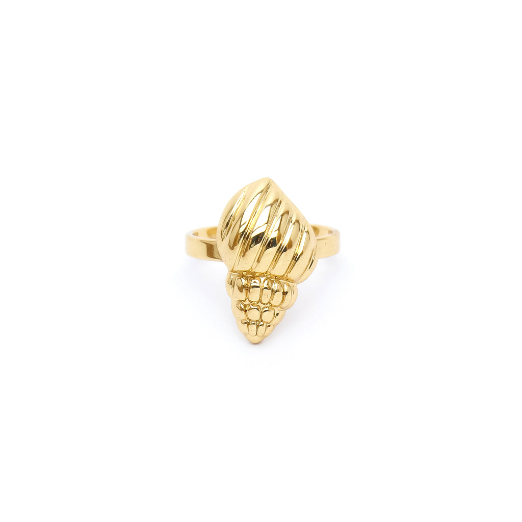 Gold Shell Ring - ZR10